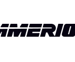 Immerion