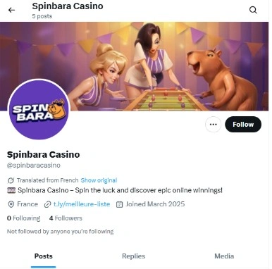 spinbara media